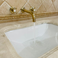 Arcadia Wall Mounted Faucet