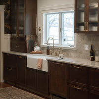 Vectorian Bridge Kitchen Faucet