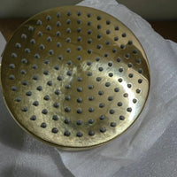 Unlacquered Brass Head Shower With Swivel Connector