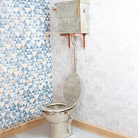 The Victorian German Silver high level toilet - Brassna