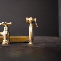 Cora kitchen side sprayer