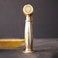 Cora kitchen side sprayer