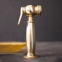 Cora kitchen side sprayer