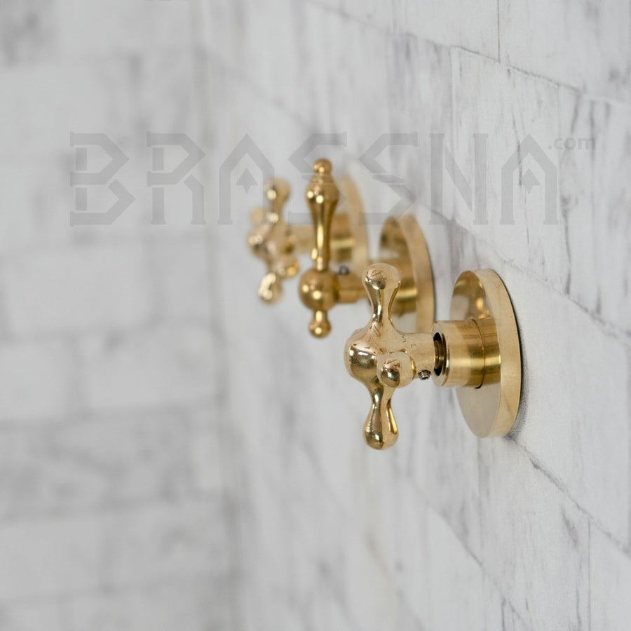 Unlacquered Brass Luxury Shower Heads - Brassna