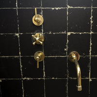 Unlacquered Brass Solid Brass Shower Head And Tub Filller - Brassna