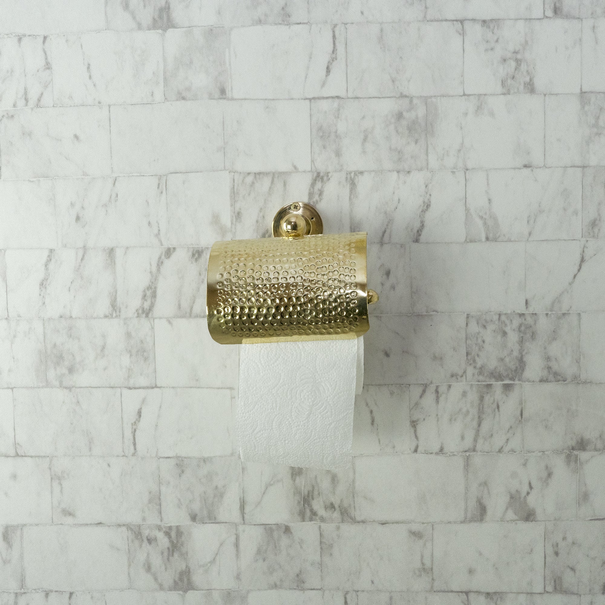  AuraLux Toilet Paper Holder