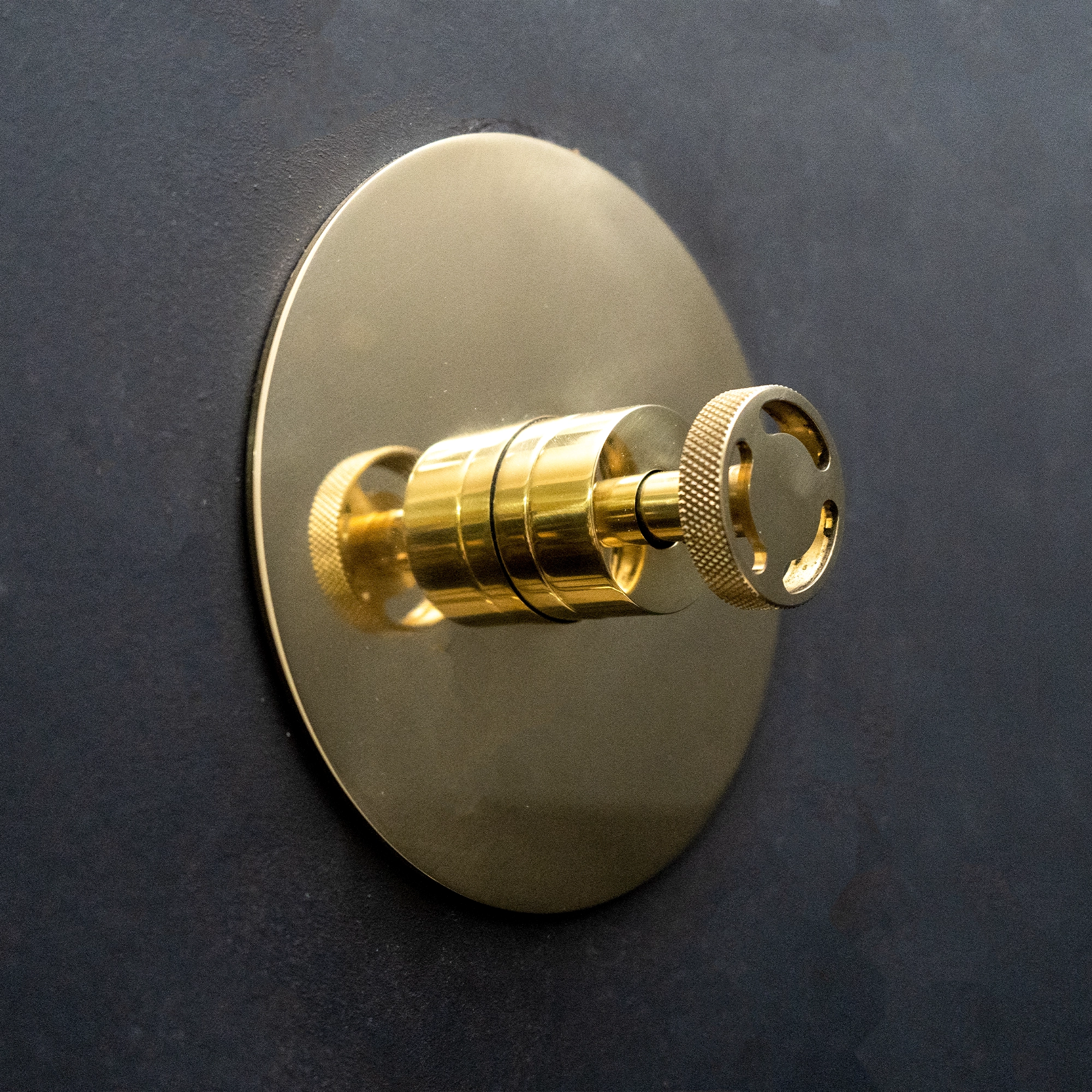  Unlacquered Brass Termostatic Shower Set with Dome Hea