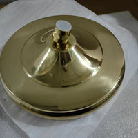 Unlacquered Brass Head Shower With Swivel Connector