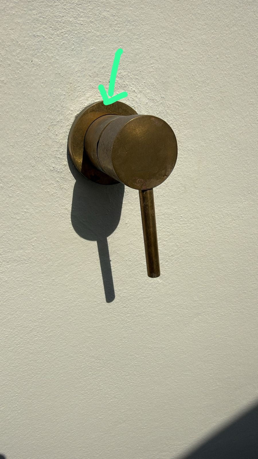 Custom order for escalavante