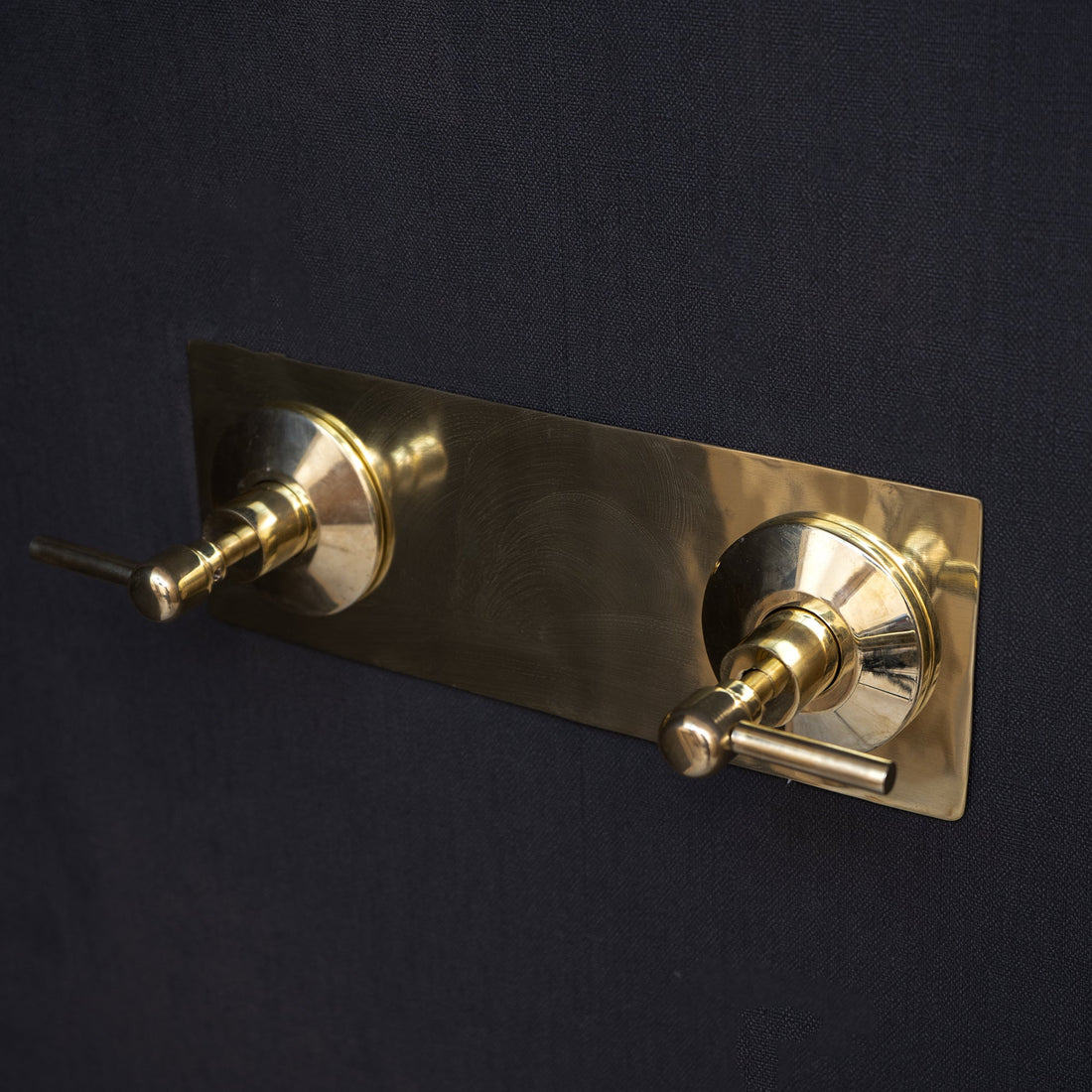 Handcrafted unlacquered brass shower Head With Curved Arm - Brassna