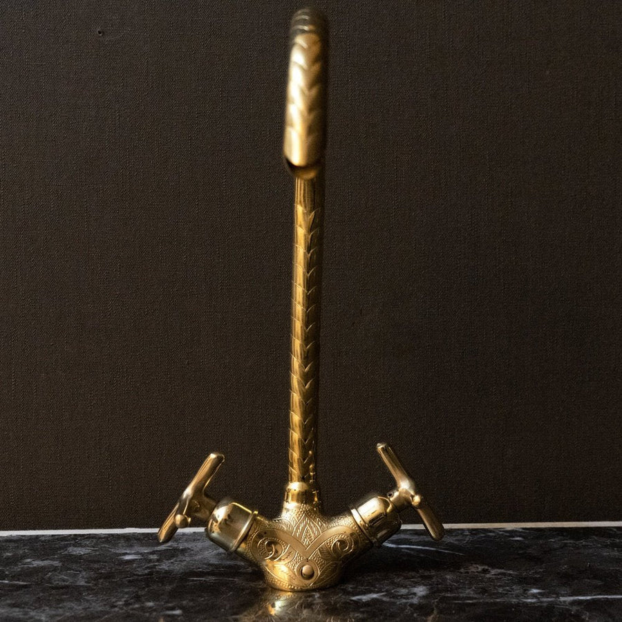 Single Hole Unlacquered Brass Gooseneck Faucet - Brassna