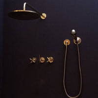 Unlacquered Brass Shower SetHead And handheld Set - Brassna