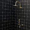 The Fanus Shower System